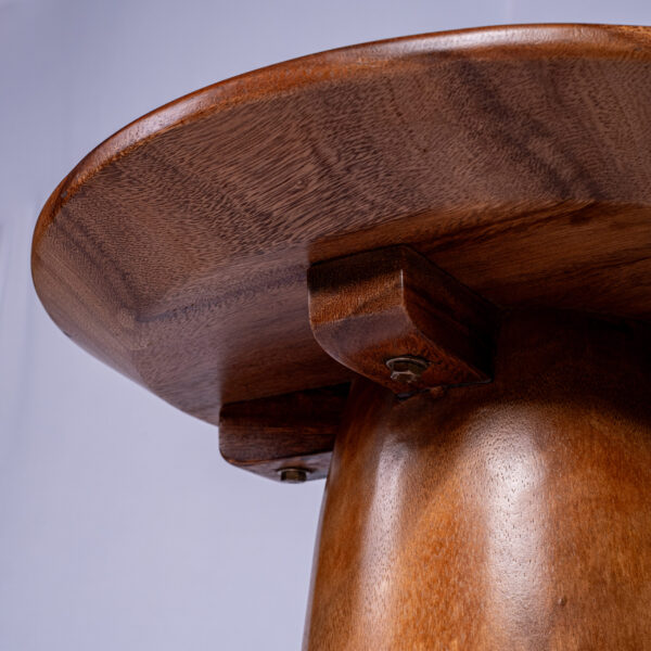 Modern Tavora Side Table Sustainable Materials Crafted Unique Sturdy Design Standout Piece of Furniture - Gambar 3