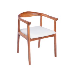 Modern Tokyo Chair for Living Room Effortlessly Blends Style and Functionality Brings Comfort and Sophistica