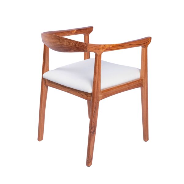 Modern Tokyo Chair for Living Room Effortlessly Blends Style and Functionality Brings Comfort and Sophistica - Gambar 2