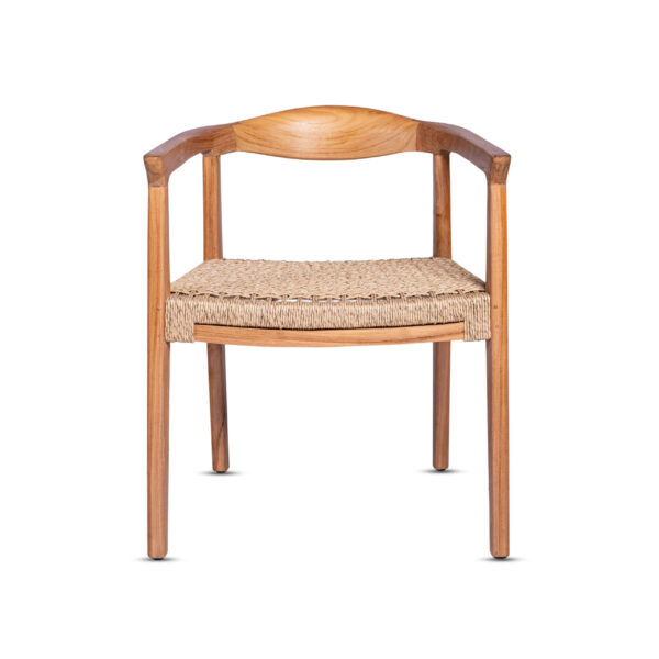 Modern Osaka Chair for Living Room Effortlessly Blends Style and Functionality Brings Comfort and Sophistication