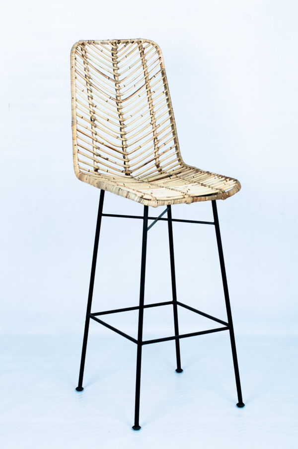 Modern Lela Bar Chair for Living Room Effortlessly Blends Style and Functionality Brings Comfort and Sophistication