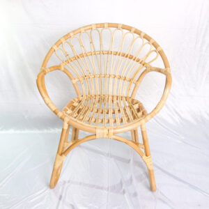Modern Granada Chair for Living Room Effortlessly Blends Style and Functionality Brings Comfort and Sophistica