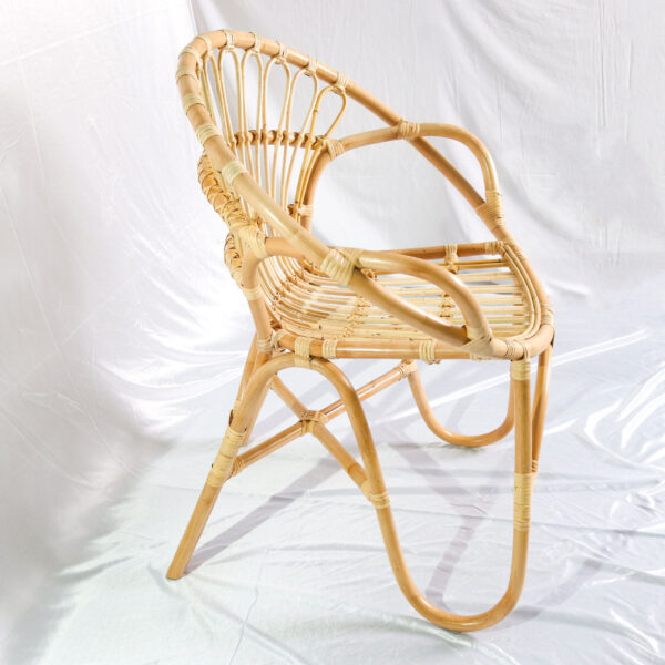 Modern Granada Chair for Living Room Effortlessly Blends Style and Functionality Brings Comfort and Sophistica - Gambar 4