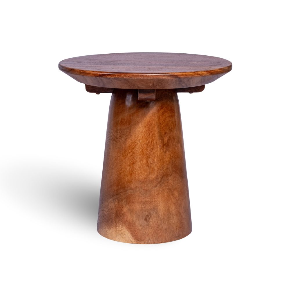 Modern Tavora Side Table Sustainable Materials Crafted Unique Sturdy Design Standout Piece of Furniture