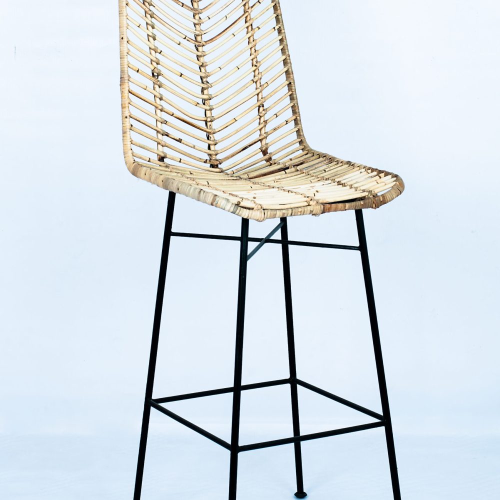 Modern Lela Bar Chair for Living Room Effortlessly Blends Style and Functionality Brings Comfort and Sophistication