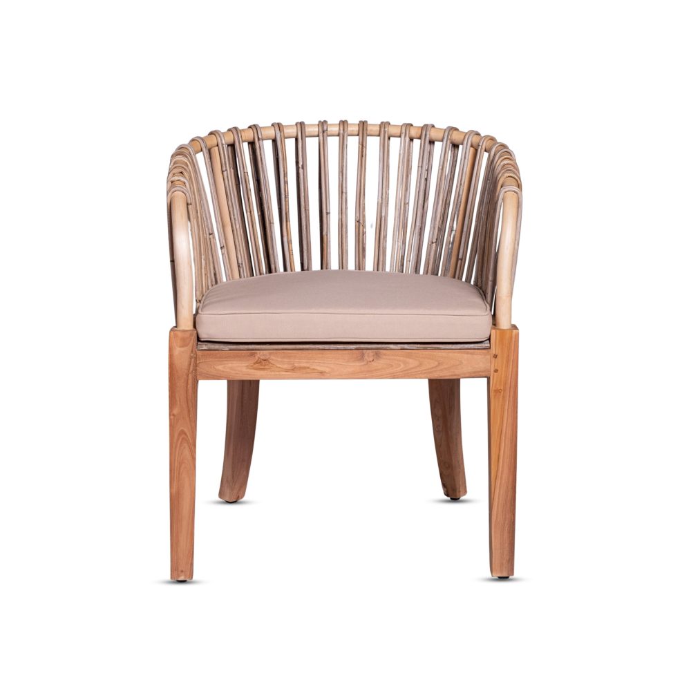 Modern Havana Chair for Living Room Effortlessly Blends Style and Functionality Brings Comfort and Sophistication