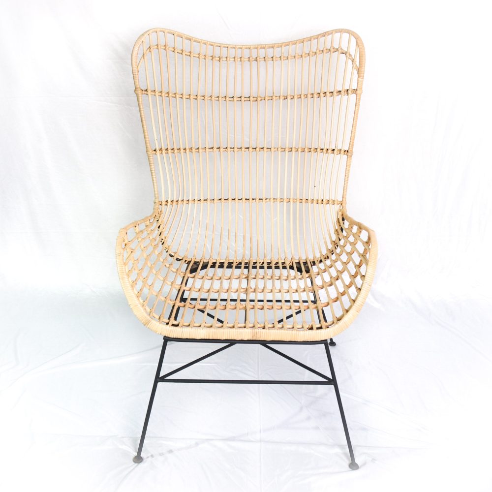 Modern Astra Chair for Living Room Effortlessly Blends Style and Functionality Brings Comfort and Sophistica