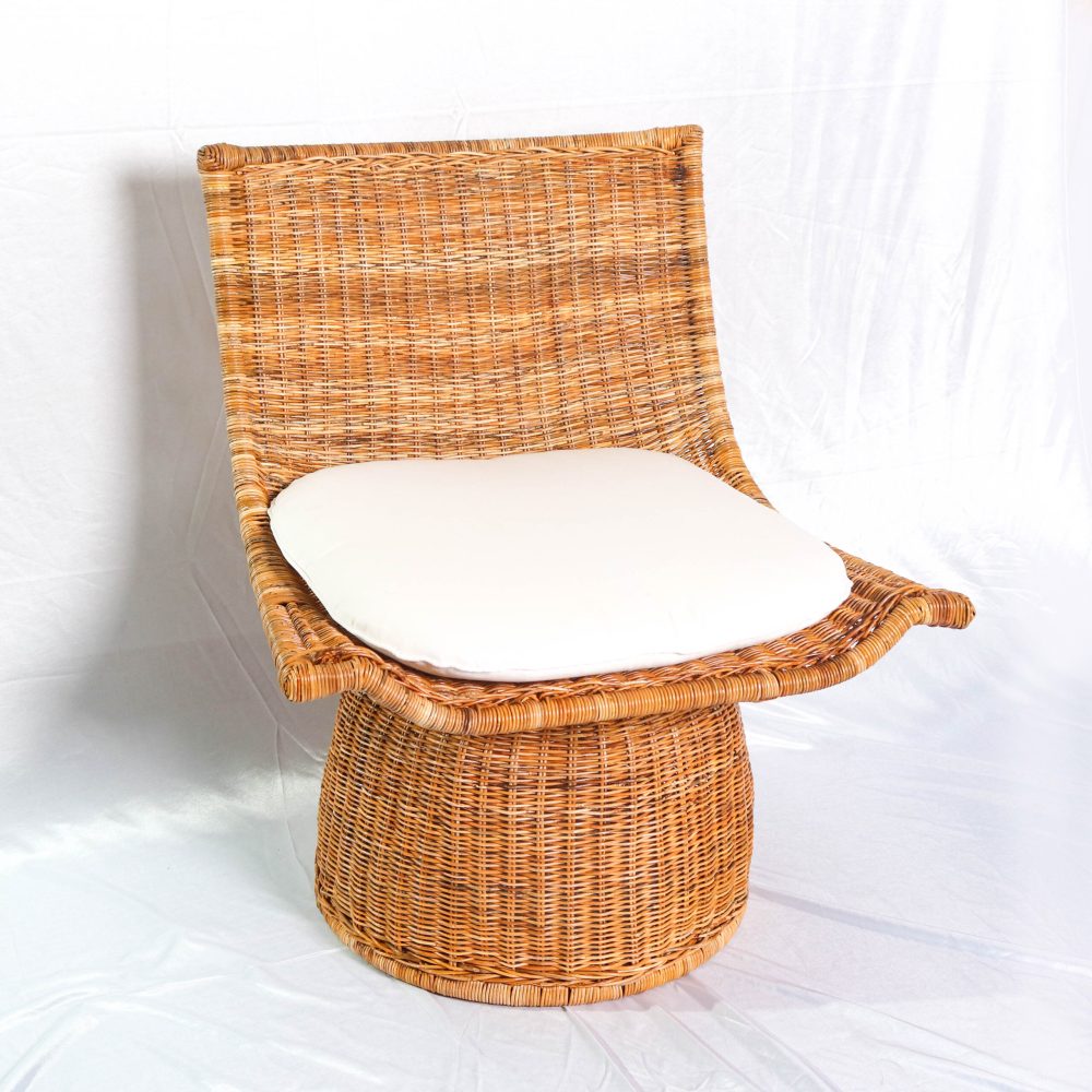 Modern Bali Chair for Living Room Effortlessly Blends Style and Functionality Brings Comfort and Sophistica