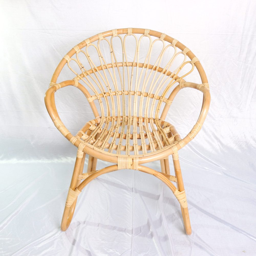 Modern Granada Chair for Living Room Effortlessly Blends Style and Functionality Brings Comfort and Sophistica